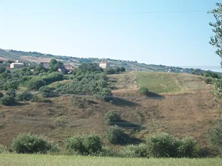 Immagine 17 di Terreno agricolo in vendita  in C.DA RIZZACORNO a Lanciano
