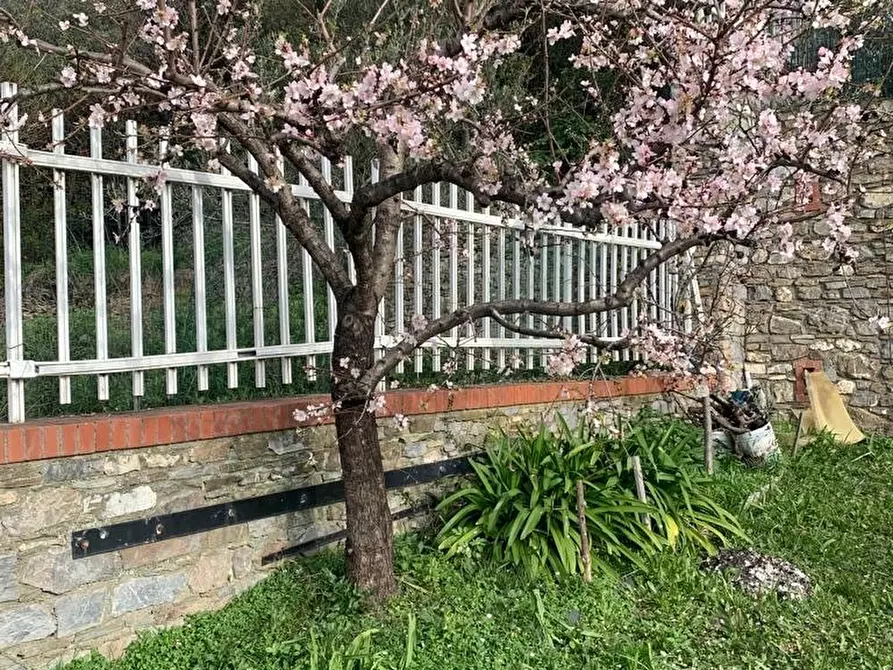 Immagine 28 di Villa in vendita  in Via Adelasia a Alassio