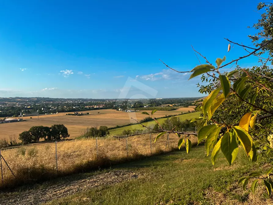 Immagine 6 di Rustico / casale in vendita  a Jesi