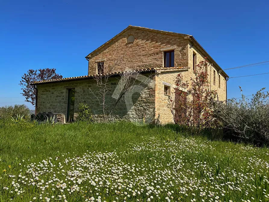 Immagine 11 di Rustico / casale in vendita  a Serra San Quirico