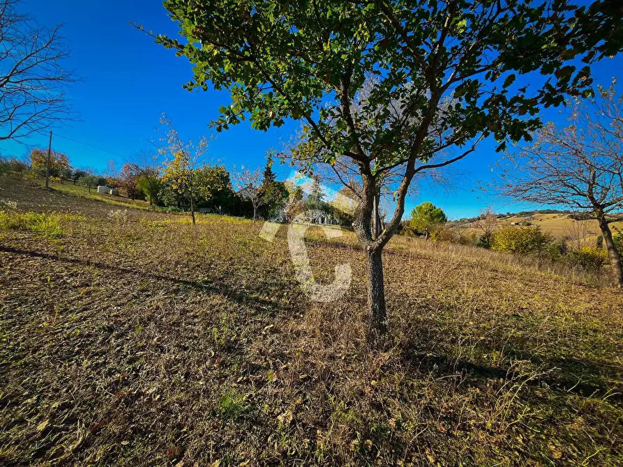 Immagine 10 di Rustico / casale in vendita  a Senigallia