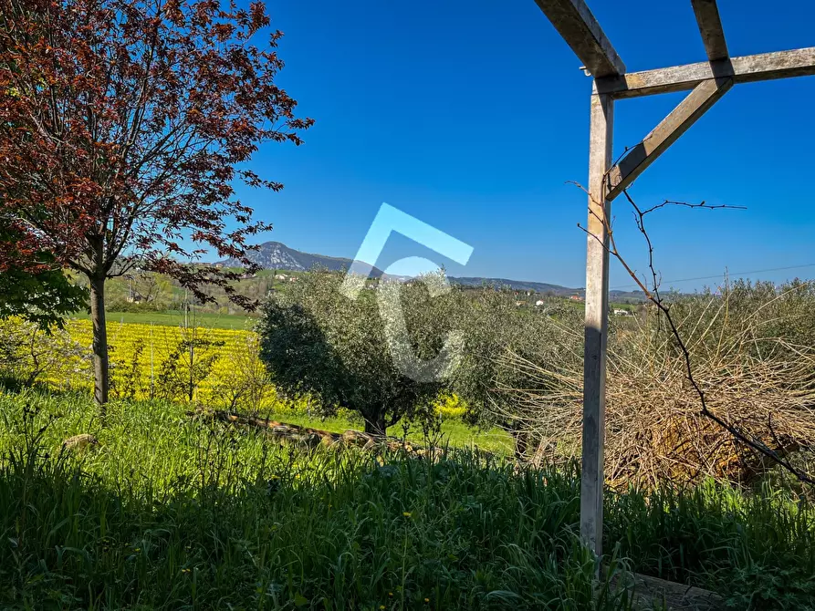 Immagine 27 di Rustico / casale in vendita  a Serra San Quirico