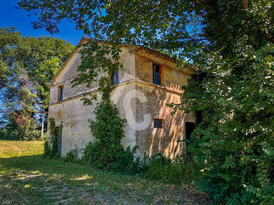 Immagine 4 di Rustico / casale in vendita  a Trecastelli