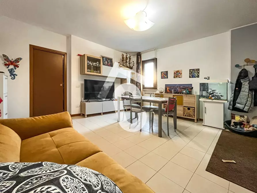 Immagine 4 di Quadrilocale in vendita  a Castelbellino