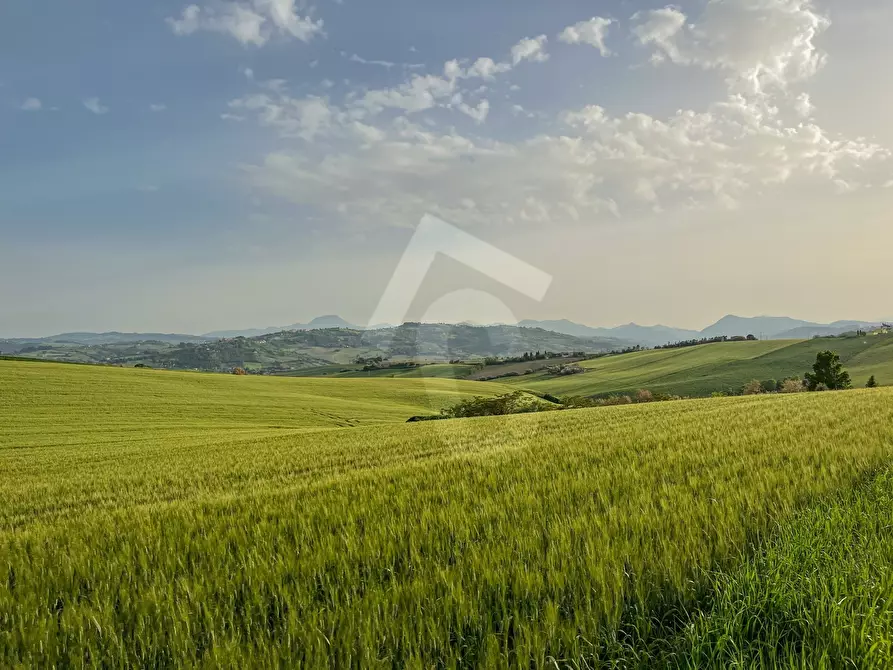 Immagine 1 di Rustico / casale in vendita  a Maiolati Spontini