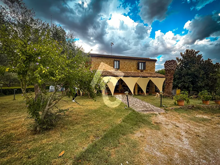 Immagine 2 di Rustico / casale in vendita  a Monte Roberto