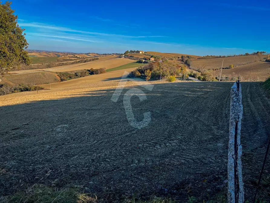 Immagine 40 di Casa indipendente in vendita  a Montecarotto