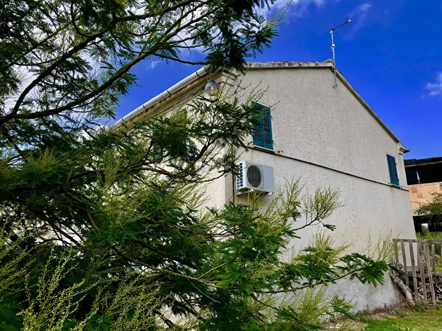 Immagine 21 di Rustico / casale in vendita  a Monsano