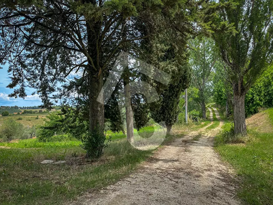 Immagine 17 di Rustico / casale in vendita  a Jesi
