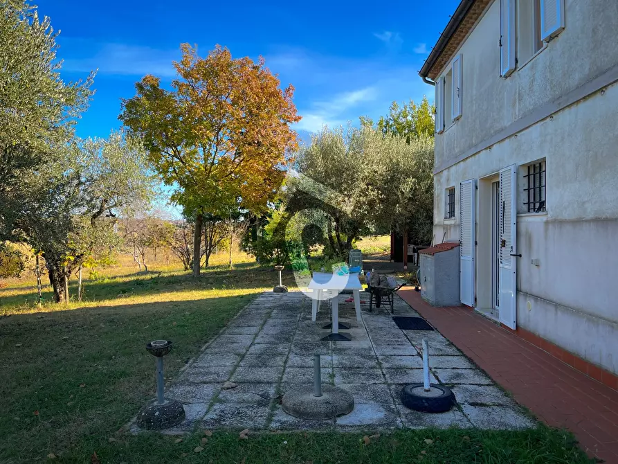 Immagine 8 di Rustico / casale in vendita  a Senigallia