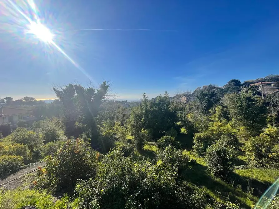 Immagine 14 di Terreno industriale in vendita  a Trecastagni