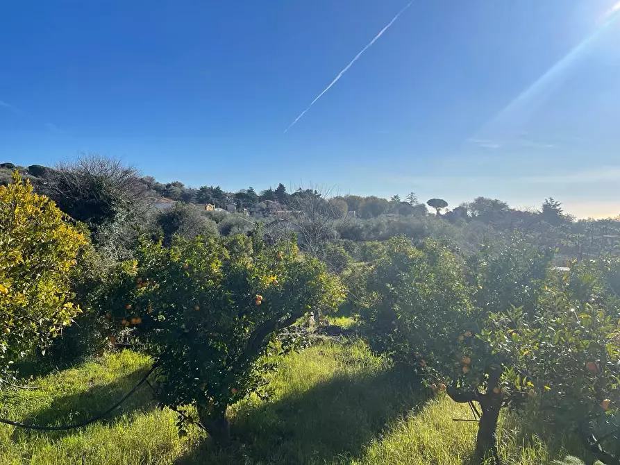 Immagine 2 di Terreno industriale in vendita  a Trecastagni