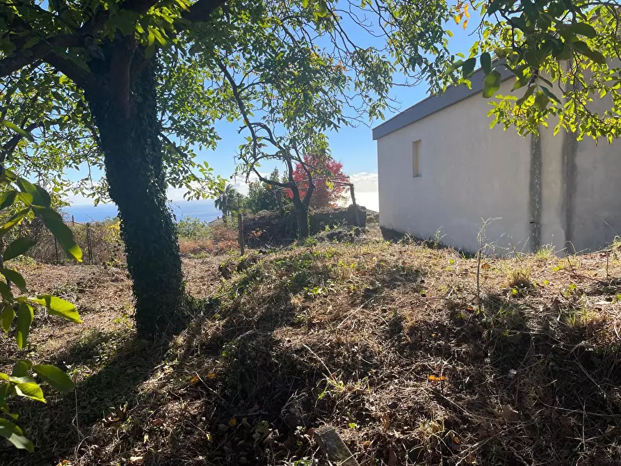 Immagine 37 di Villa in vendita  a Zafferana Etnea