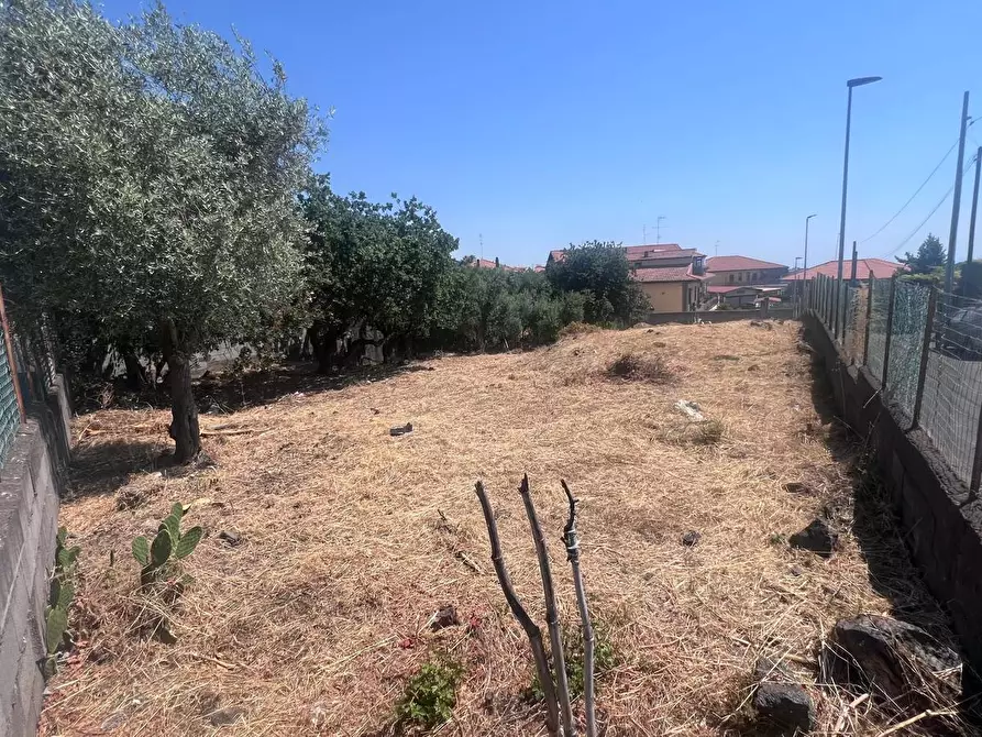 Immagine 8 di Terreno agricolo in vendita  a Tremestieri Etneo