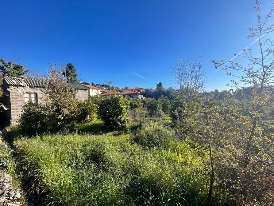 Immagine 8 di Terreno industriale in vendita  a Trecastagni