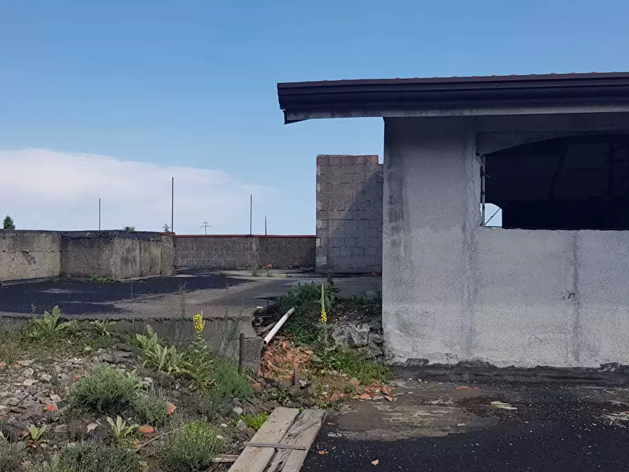 Immagine 11 di Casa indipendente in vendita  a Pedara