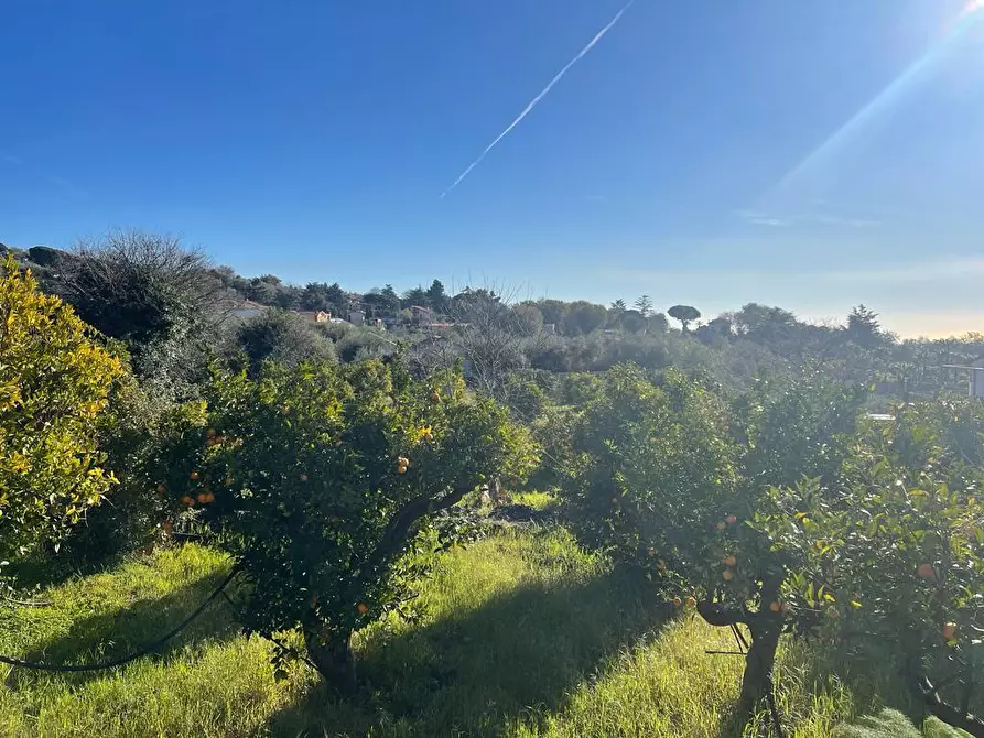 Immagine 16 di Terreno industriale in vendita  a Trecastagni