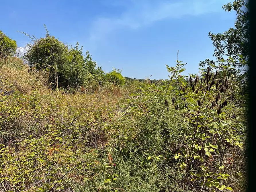 Immagine 5 di Terreno agricolo in vendita  a Tremestieri Etneo