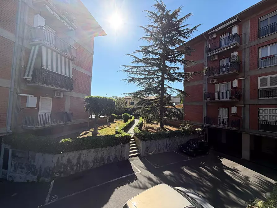 Immagine 15 di Appartamento in vendita  a Gravina Di Catania