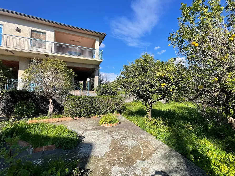 Immagine 3 di Villa in vendita  a Tremestieri Etneo