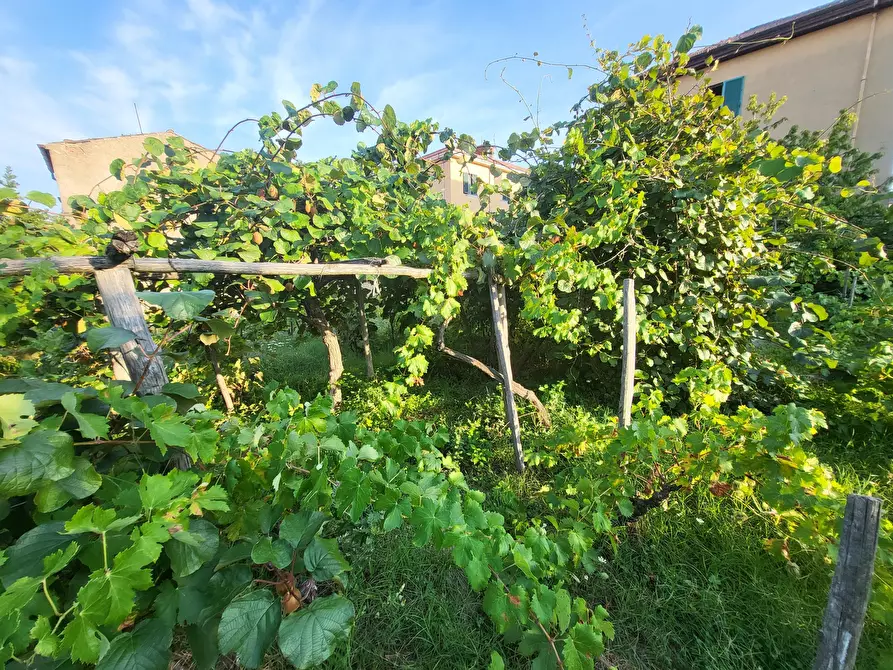 Immagine 106 di Casa indipendente in vendita  in Via Giotto 22 a Acri