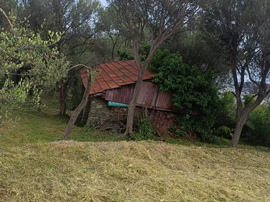 Immagine 3 di Terreno edificabile in vendita  in Via Nuova Cantalupo snc a Varazze