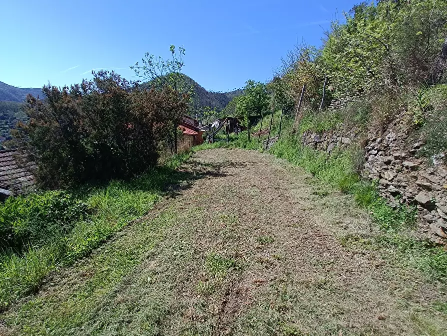 Immagine 21 di Casa indipendente in vendita  in Via Campomarzio 9 a Varazze