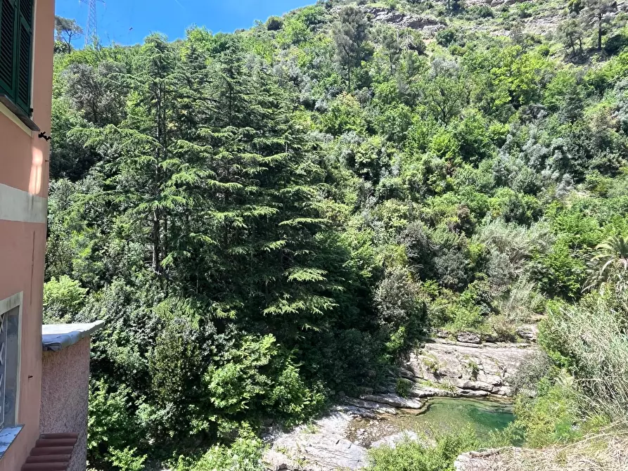 Immagine 11 di Casa semindipendente in vendita  in Via Molinetti di Nervi 32 a Genova
