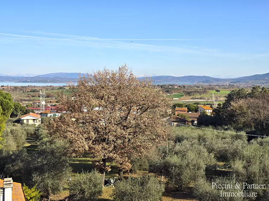 Immagine 38 di Quadrilocale in vendita  in Via Campania a Castiglione Del Lago