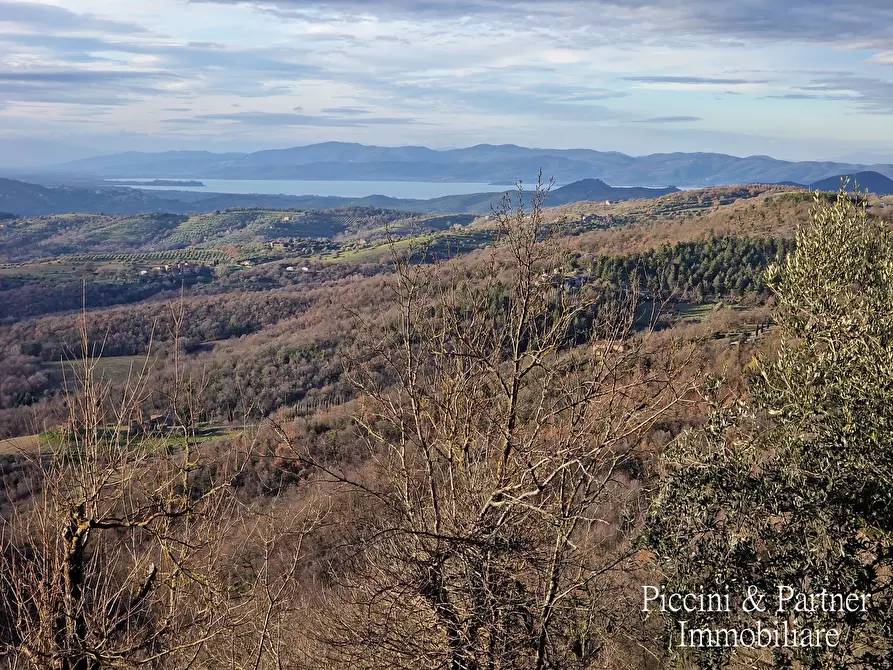 Immagine 50 di Porzione di casa in vendita  in Castello di Greppolischieto a Piegaro