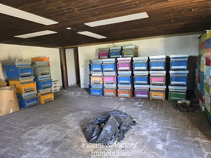 Immagine 59 di Villa in vendita  in Vocabolo Fiatello a San Venanzo