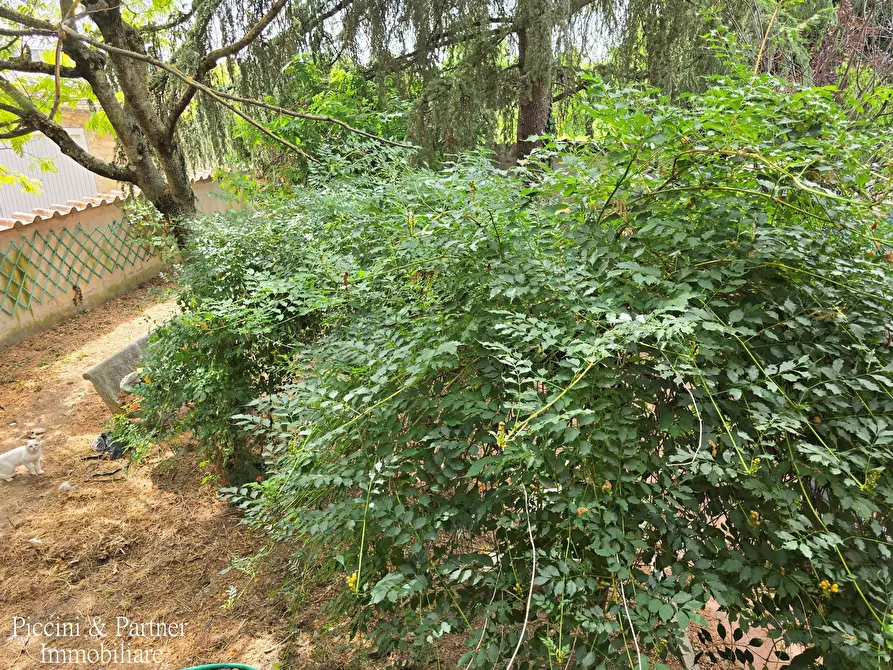 Immagine 22 di Terratetto in vendita  in Via Santa Maria a Castiglione Del Lago