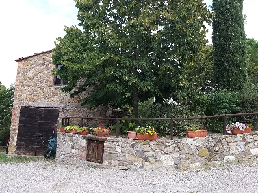 Immagine 34 di Porzione di casa in vendita  in Località Poggio Rosa 15 a Castiglione D'orcia