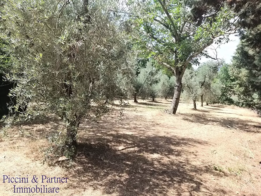 Immagine 5 di Rustico / casale in vendita  in 342W+VM Panicale a Panicale