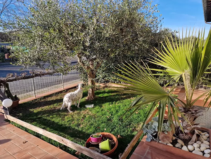 Immagine 51 di Casa bifamiliare in vendita  in Via Milano a Castiglione Del Lago