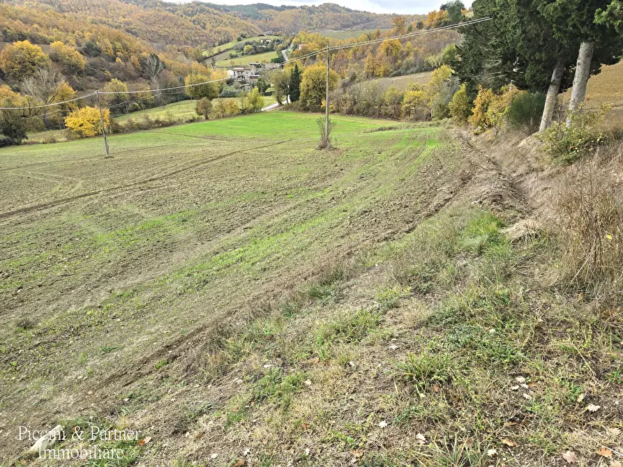Immagine 13 di Terreno agricolo in vendita  in Località Colonnata a Gubbio