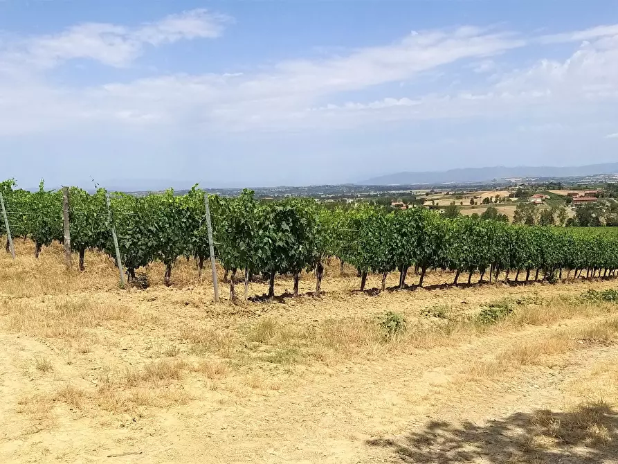 Immagine 17 di Terreno agricolo in vendita  in Via Ascianello a Montepulciano