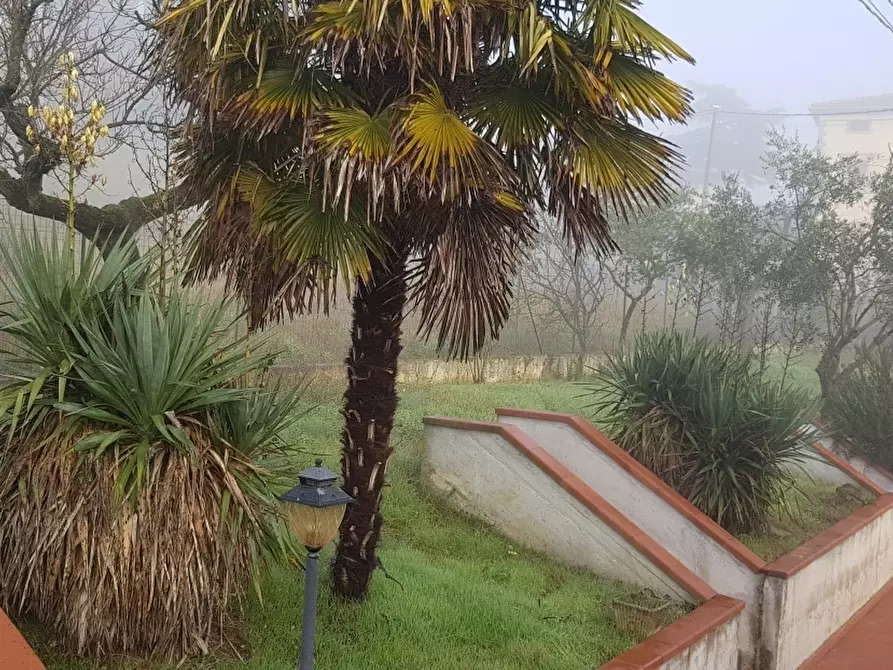 Immagine 21 di Porzione di casa in vendita  in Via dei Lecci a Castiglione Del Lago