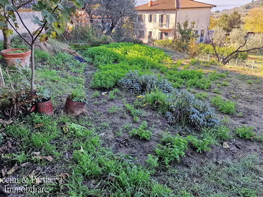 Immagine 52 di Casa indipendente in vendita  in Via Costa a Magione