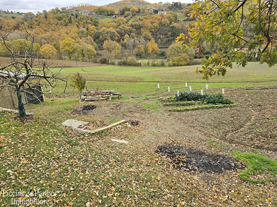 Immagine 6 di Terreno agricolo in vendita  in Località Colonnata a Gubbio