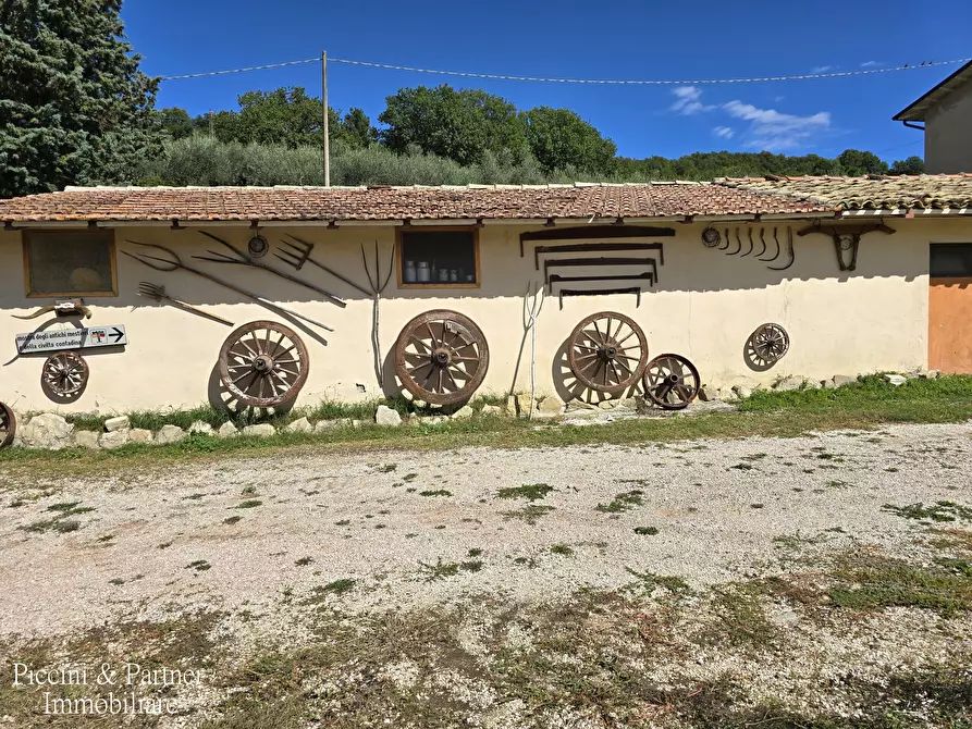 Immagine 3 di Rustico / casale in vendita  in SR 444 Pian della Pieve a Assisi