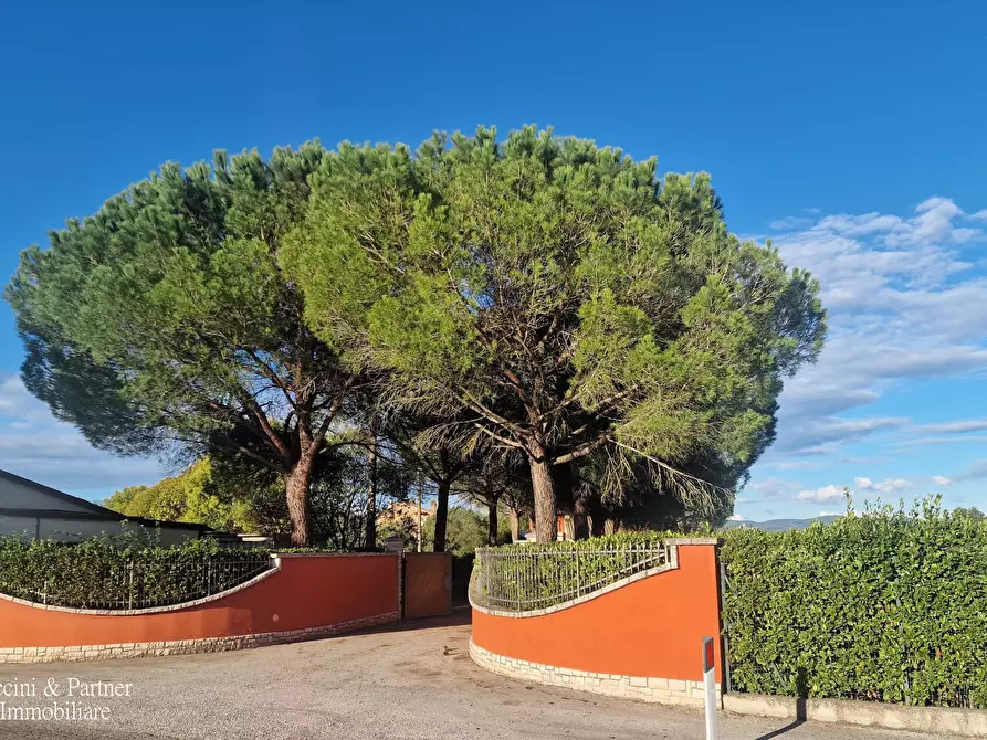 Immagine 99 di Villa in vendita  in Località Ferretto 48 a Castiglione Del Lago