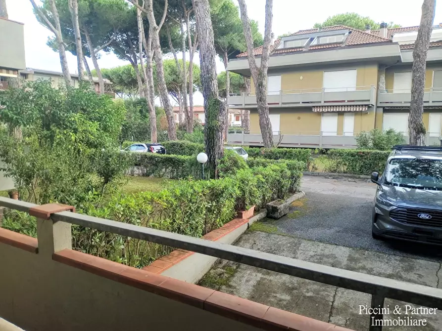 Immagine 12 di Quadrilocale in vendita  in Via Magliano 15 a Massa