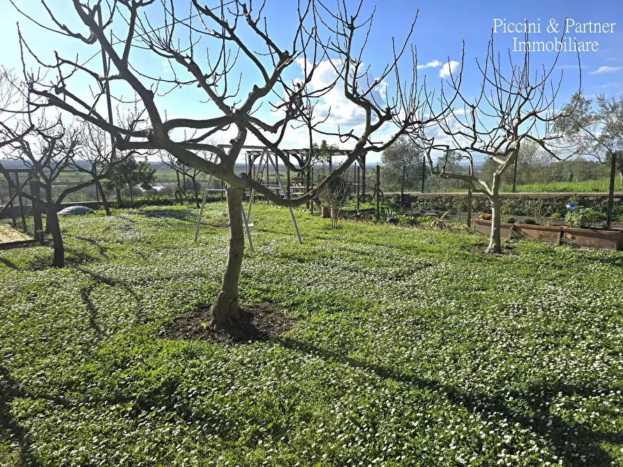 Immagine 5 di Rustico / casale in vendita  in Località Riccio 70A a Cortona