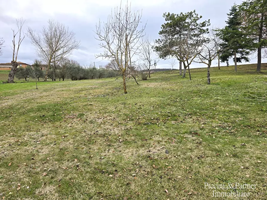 Immagine 71 di Casa indipendente in vendita  in Strada di Pereta a Chianciano Terme