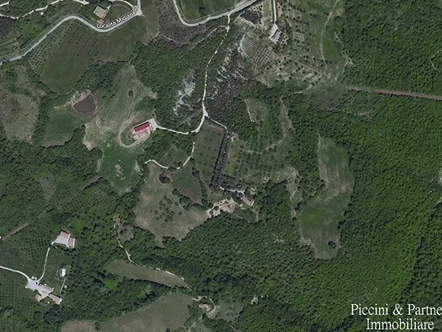 Immagine 2 di Rustico / casale in vendita  in Migianella a Umbertide