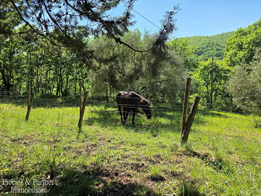 Immagine 4 di Rustico / casale in vendita  in Migianella a Umbertide