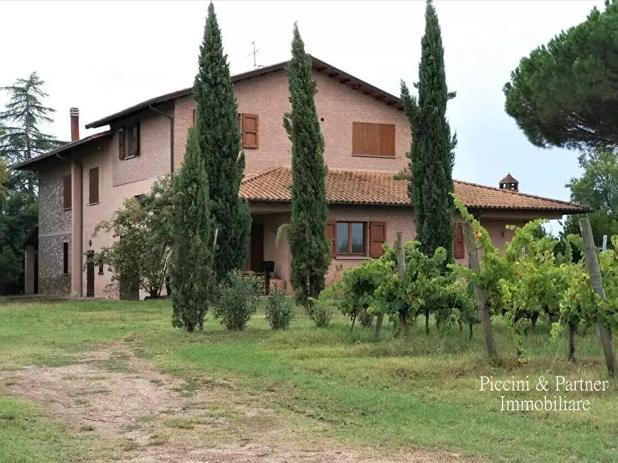 Immagine 4 di Rustico / casale in vendita  in Località Croce 68 a Castiglione Del Lago