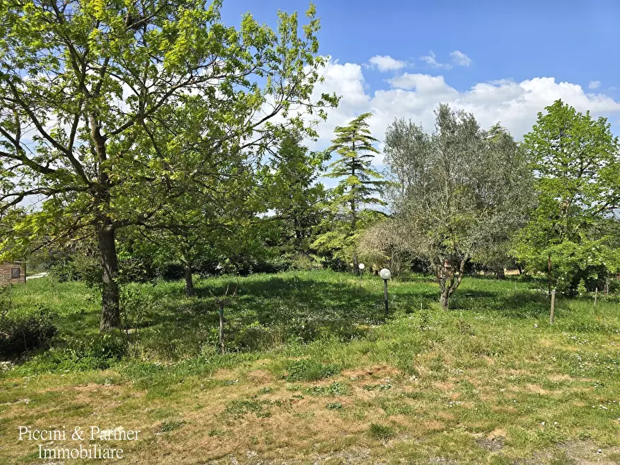 Immagine 4 di Rustico / casale in vendita  in Via Paganico 2 a Castiglione Del Lago