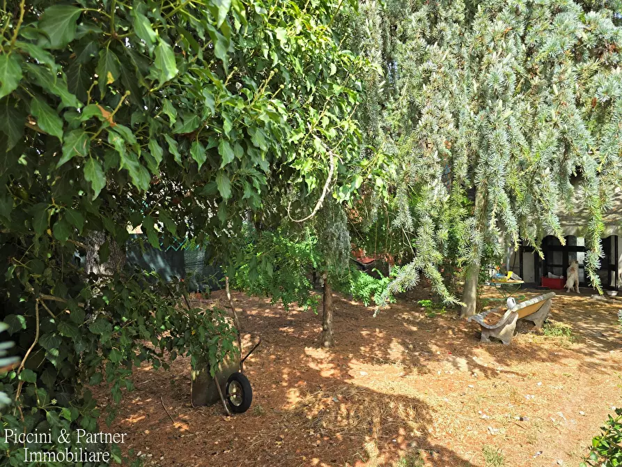 Immagine 47 di Terratetto in vendita  in Via Santa Maria a Castiglione Del Lago